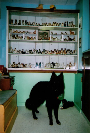 Dog with china display